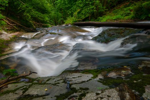 Mountain river - stream flowing through thick green forest. Stream in dense wood. Big boulders in river bed with fallen tree trunks covered in moss, rainforest in Europe, Bistriski Vintgar, Slovenia