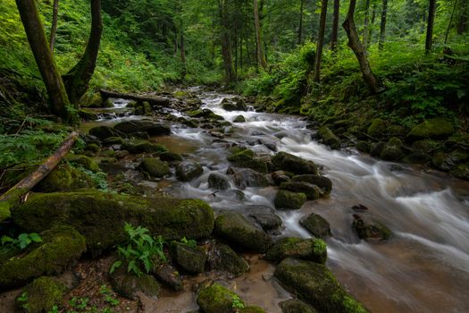 Mountain river - stream flowing through thick green forest. Stream in dense wood. Big boulders in river bed with fallen tree trunks covered in moss, rainforest in Europe, Bistriski Vintgar, Slovenia