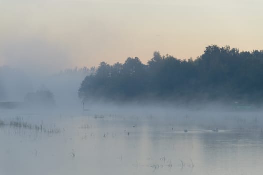 landscape with natural river, nature series