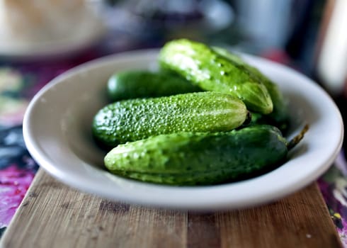 fresh green cucumbers in a plate on the table