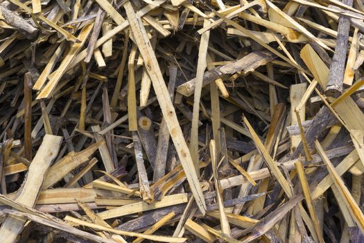 picture of chips and other debris from a broken tree trunk. Small depth of field Chipped fire woods.