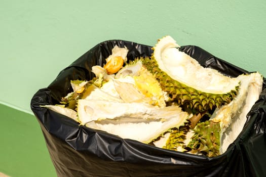 Discard durian peel in trash. Pastel green background