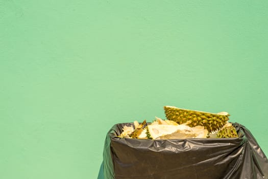 Discard durian peel in trash. Pastel green background