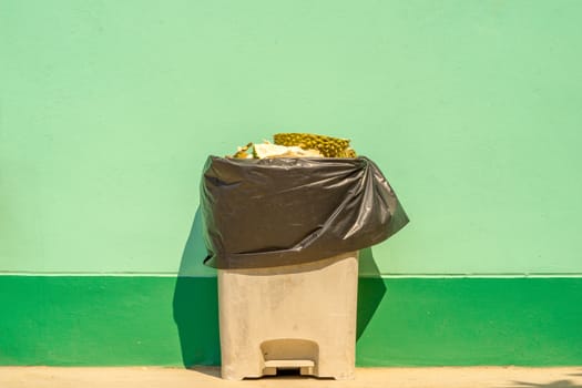 Discard durian peel in trash. Pastel green background