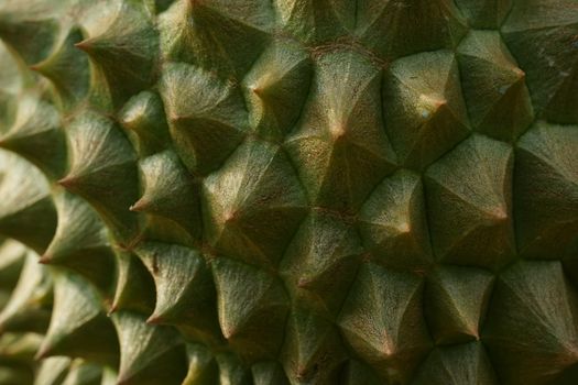 The surface of durian peel was honored to be the king of fruit. Fruits grown in Chumphon, southern Thailand.