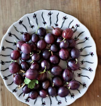 purple ripe gooseberry in a plate, soft focus