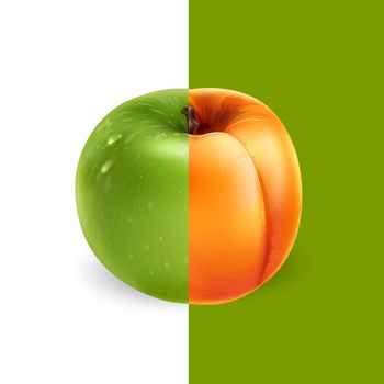 Apricot and green apple on a white and green background.