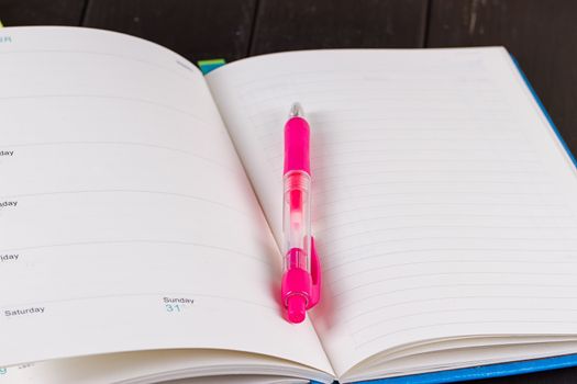 Planning your day, A day blank day planner with a blue pen