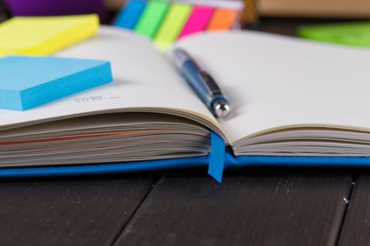 Planning your day, A day blank day planner with a blue pen