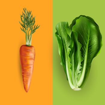 Carrot and lettuce on a orange and green background.