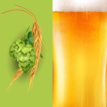 Hops, malt and beer  illustration on green background.