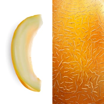 Slice of melon on white background and texture,  illustration.