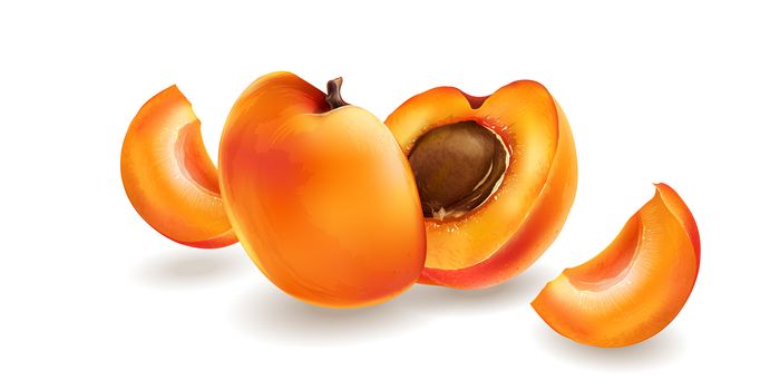 Apricot and cut slices on a bright white background.