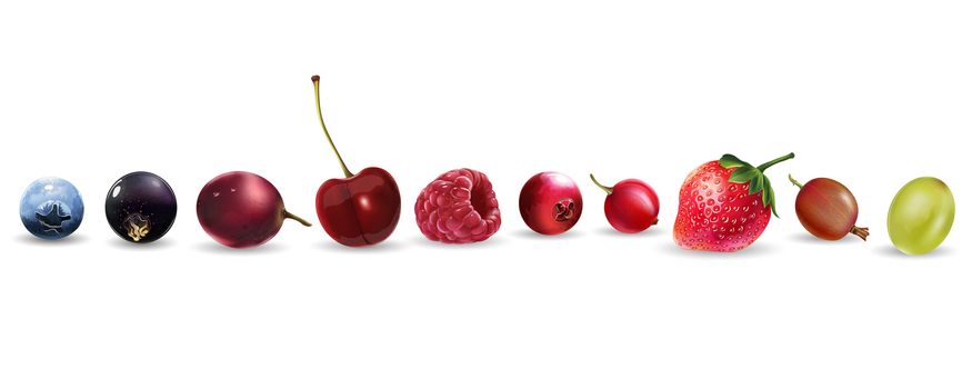 Cherries strawberries gooseberries blueberries raspberries currants blackberries grapes and cranberries illustrations.