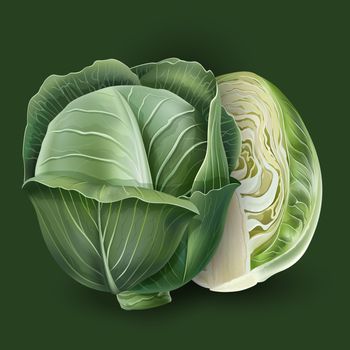 Realistic cabbage on a deep green background.