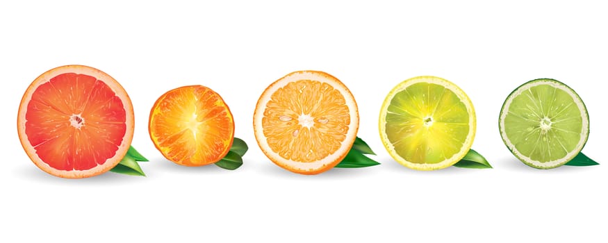 Lemon orange citrus mandarin grapefruit and lime on a background.