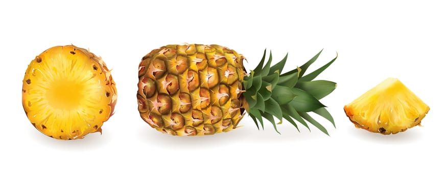 Realistic pineapple and slices on a white background.
