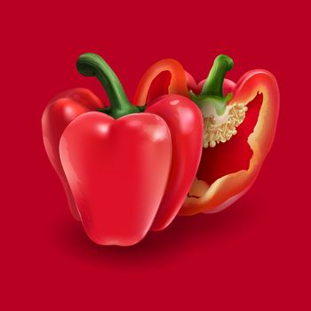 Red pepper isolated realistic illustration on red background.