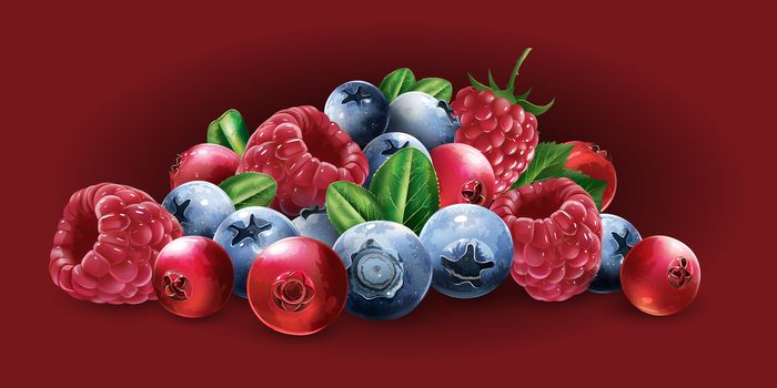 Raspberries, cranberries, blueberries and strawberries on a red background.