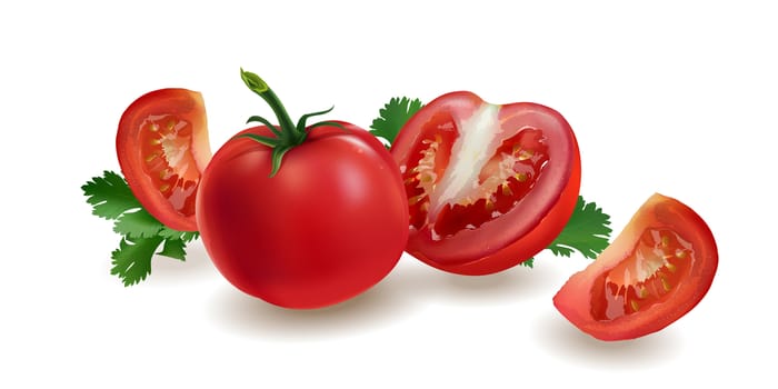 Realistic fresh tomatoes on a white background.