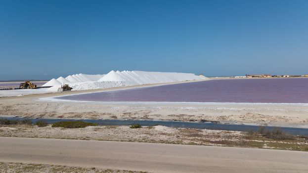 rose caribbean salt lake Bonaire island aerial drone top view