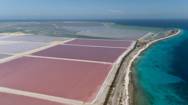 rose caribbean salt lake Bonaire island aerial drone top view