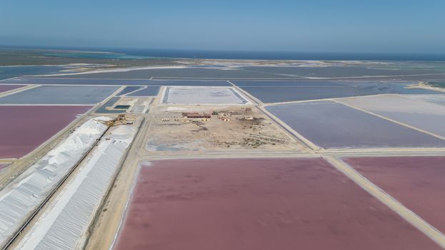 rose caribbean salt lake Bonaire island aerial drone top view