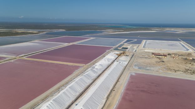 rose caribbean salt lake Bonaire island aerial drone top view