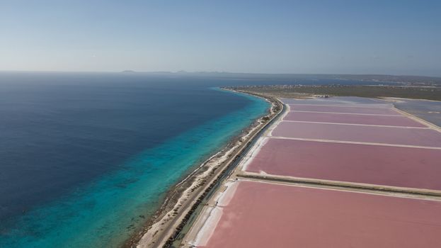 rose caribbean salt lake Bonaire island aerial drone top view