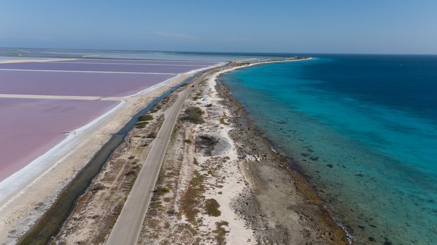 rose caribbean salt lake Bonaire island aerial drone top view