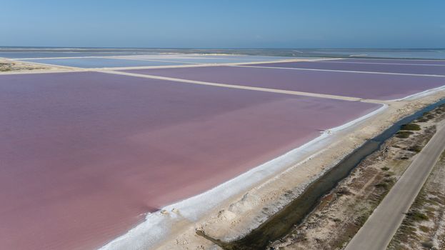 rose caribbean salt lake Bonaire island aerial drone top view