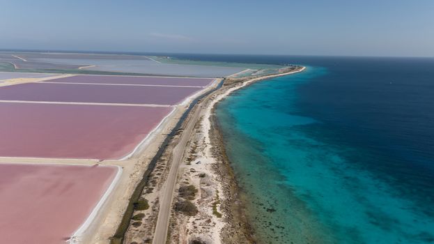 rose caribbean salt lake Bonaire island aerial drone top view