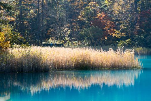 Goshiki-numa Five Colour Pond in Autumn, Urabandai, Fukushima, Japan