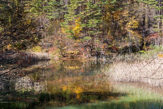 Goshiki-numa Five Colour Pond in Autumn, Urabandai, Fukushima, Japan