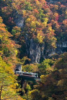 Naruko Gorge valley with train railroad tunnel in Miyagi Tohoku Japan