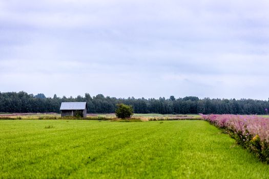Barn in Farmfield with trees in the background.