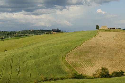 Scenic view of typical Tuscany landscape in Val D'Orcia: hills, meadows and green fields. Tuscany, Italy, Europe