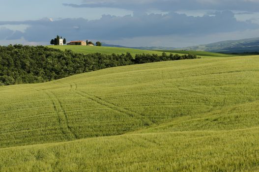 Scenic view of typical Tuscany landscape in Val D'Orcia: hills, meadows and green fields. Tuscany, Italy, Europe