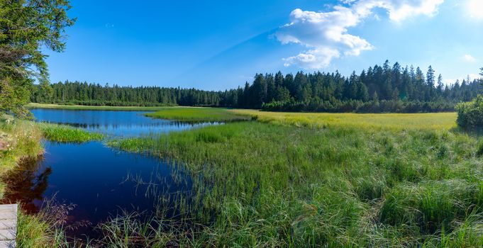 Lake on top of mountain, dark colored water and vibrant green grass, surrounded with trees, Crno jezero or Black lake is a popular hiking destination on Pohorje, Slovenia