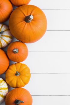 Many orange pumpkins on white wooden background with copy space, autumn harvest, Halloween or Thanksgiving concept