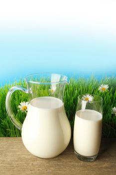 Milk in jar and glass on fresh grass meadow with chamomiles