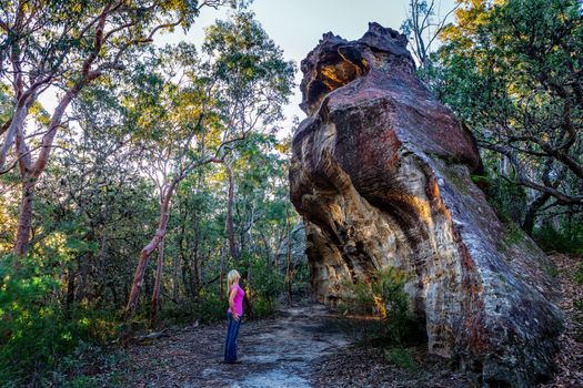 Exploring national parks wilderness in Blue Mountains, Australia.  Rock formations to fascinate, climb and experience along hiking journeys.
