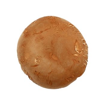 Close up one fresh brown portobello mushroom isolated on white background, elevated top view, directly above