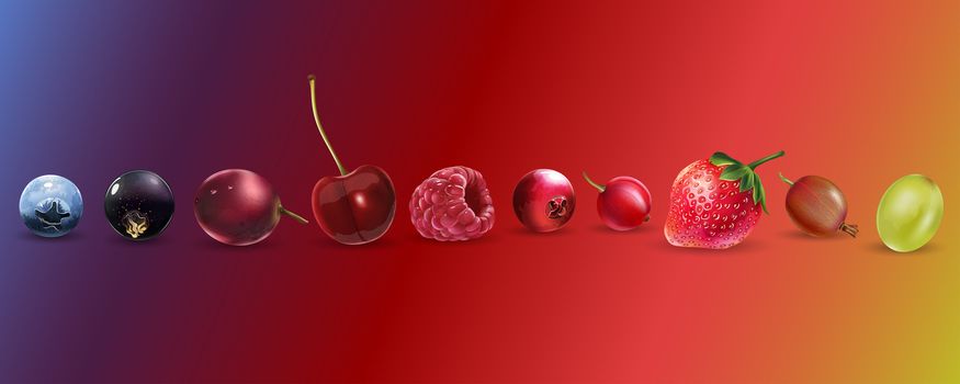 Cherries strawberries gooseberries blueberries raspberries currants blackberries grapes and cranberries illustrations.