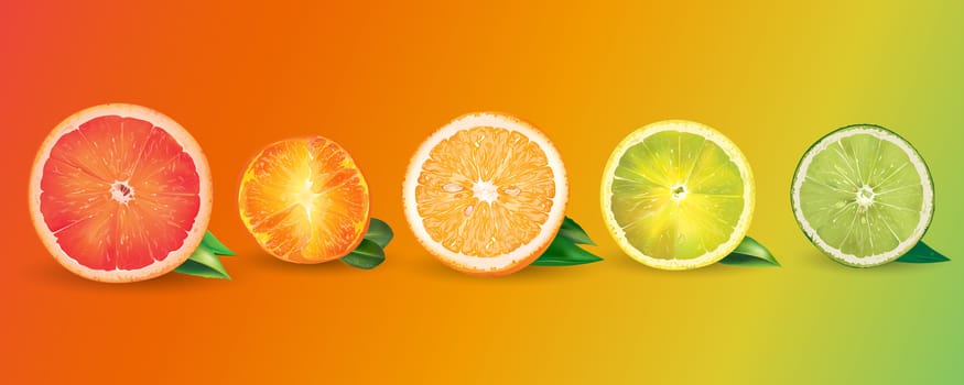 Lemon orange citrus mandarin grapefruit and lime on a background.