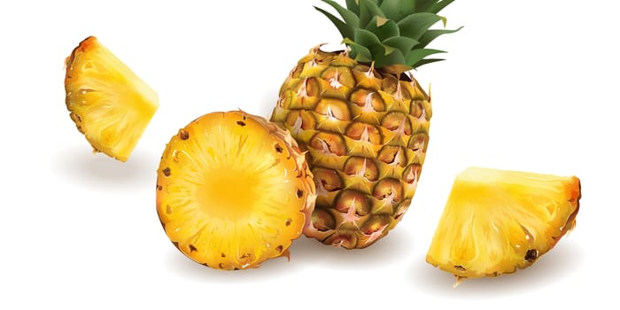 Realistic pineapple and slices on a white background.