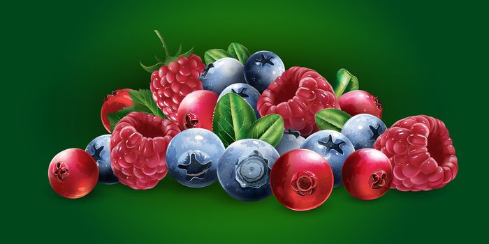 Raspberries, cranberries, blueberries and strawberries on a green background.