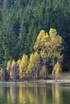 Autumn with the yellow foliage, reflected in Lake Saint Ann