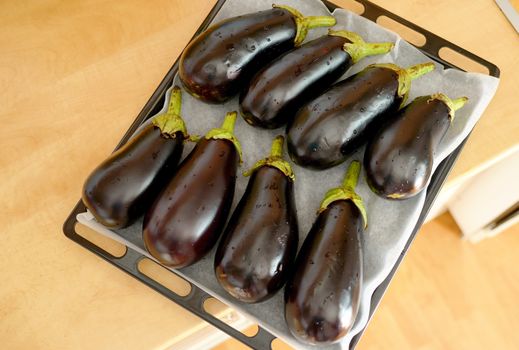 Eggplants prepare for roasted in oven tray