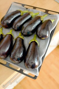 Eggplants prepare for roasted in oven tray